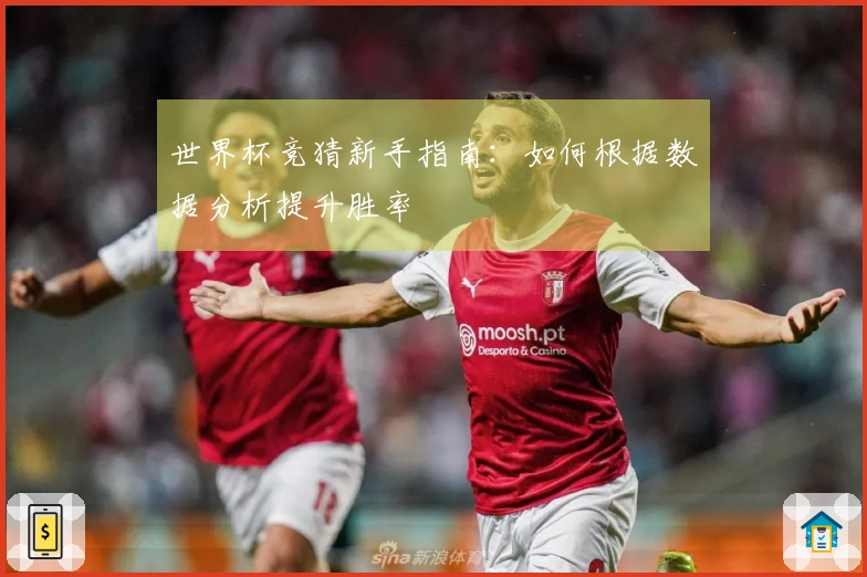 世界杯竞猜新手指南：如何根据数据分析提升胜率