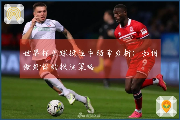 世界杯买球投注中赔率分析：如何做好你的投注策略