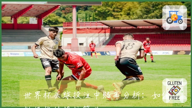 世界杯买球投注中赔率分析：如何做好你的投注策略