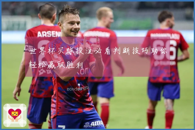 世界杯买球投注必看判断技巧助你轻松赢取胜利