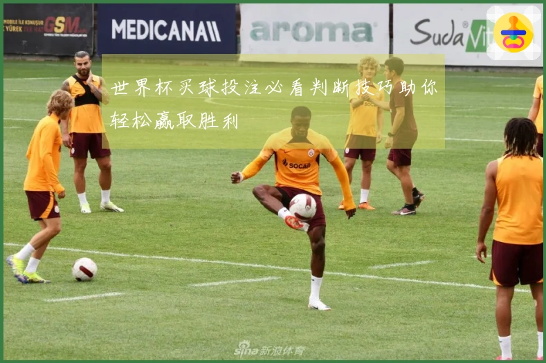 世界杯买球投注必看判断技巧助你轻松赢取胜利