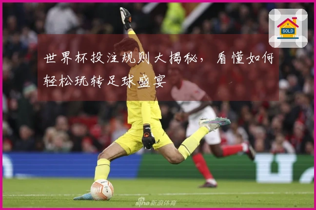 世界杯投注规则大揭秘，看懂如何轻松玩转足球盛宴