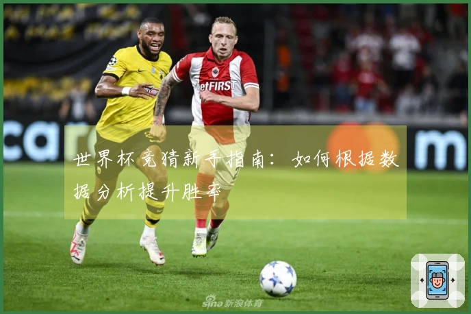 世界杯竞猜新手指南：如何根据数据分析提升胜率