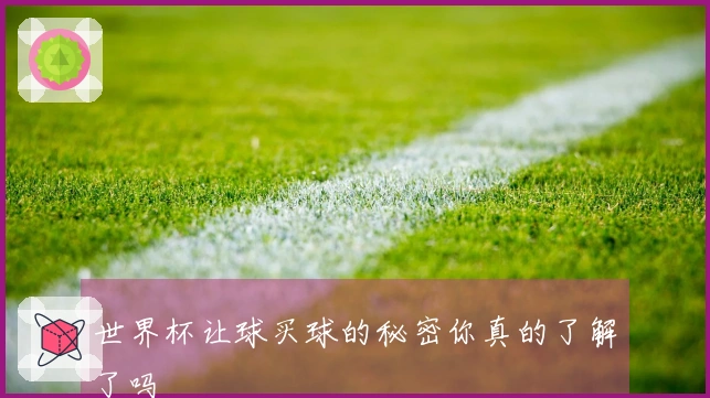 世界杯让球买球的秘密你真的了解了吗