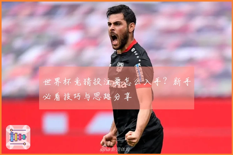 世界杯竞猜投注要怎么入手？新手必看技巧与思路分享