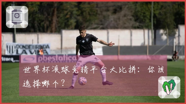 世界杯滚球竞猜平台大比拼：你该选择哪个？