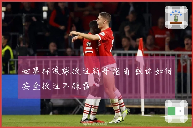世界杯滚球投注新手指南 教你如何安全投注不踩雷