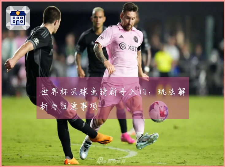 世界杯买球竞猜新手入门，玩法解析与注意事项