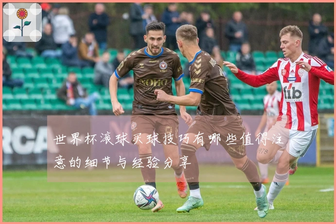 世界杯滚球买球技巧有哪些值得注意的细节与经验分享