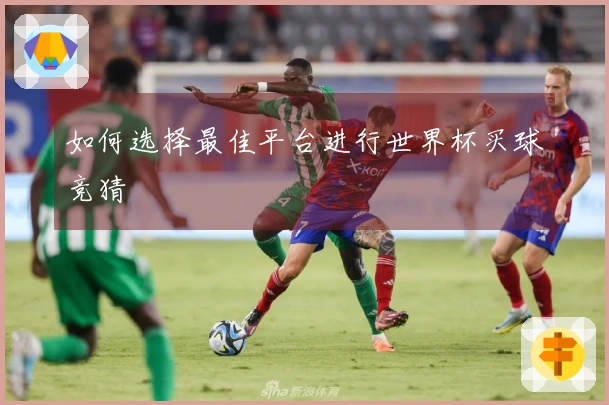 如何选择最佳平台进行世界杯买球竞猜